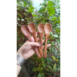 Bộ gáo dừa trộn kem (1 bát + 1 muỗng)