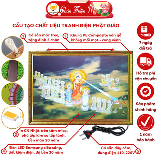 Tranh điện tam thế phật khung composite MS 03