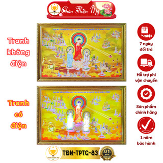 Tranh điện tam thế phật khung composite MS 03