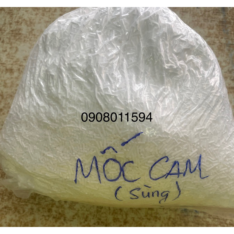 Bột chống mốc 1 kg (con sùng)