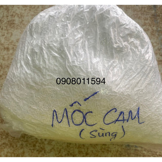Bột chống mốc 1 kg