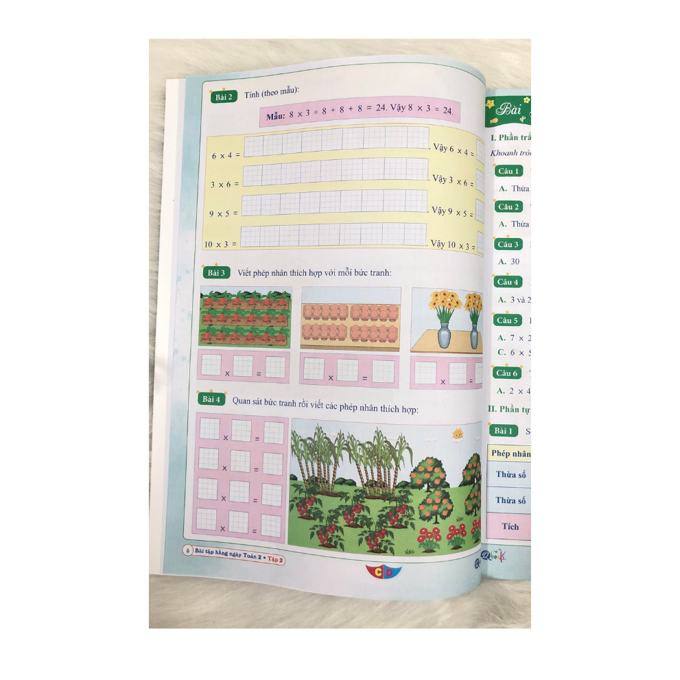 Sách - Bài Tập Hằng Ngày Toán Lớp 2 - Kì 2 - Cánh Diều
