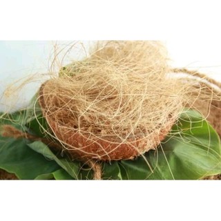Chỉ sơ dừa 100g giá thể trồng hoa lan, cây cảnh, che phủ đất..