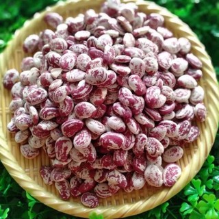 Túi 500g ĐẬU NGỰ khô
