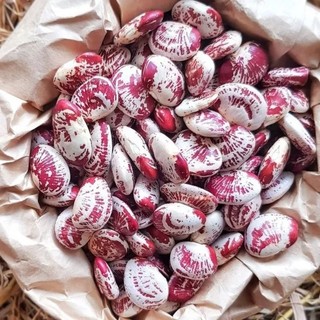 Túi 500g ĐẬU NGỰ khô