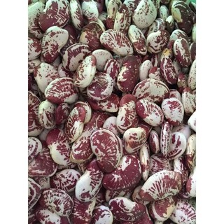 Túi 500g ĐẬU NGỰ khô