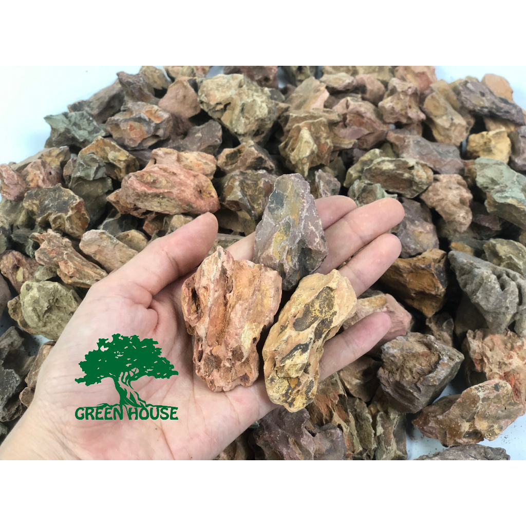 ĐÁ TIGER  trang trí hồ cá, hồ thủy sinh, hồ bán cạn