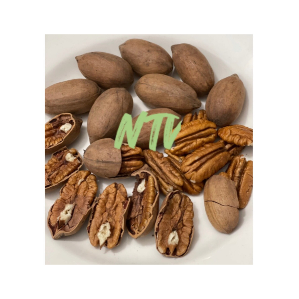 NHÂN HẠT HỒ ĐÀO - MỸ -  PECAN