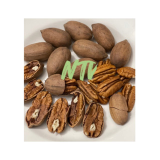 NHÂN HẠT HỒ ĐÀO - MỸ