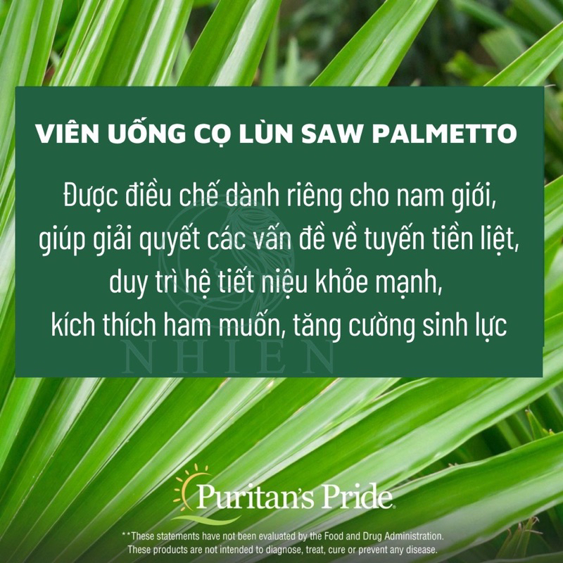 Hỗ trợ đường tiết niệu và tuyến tiền liệt Saw Palmetto 450 mg Puritan’s Pride