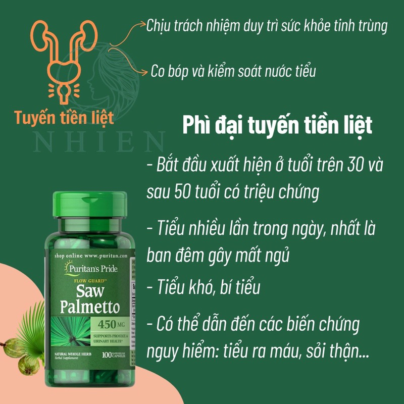 Hỗ trợ đường tiết niệu và tuyến tiền liệt Saw Palmetto 450 mg Puritan’s Pride