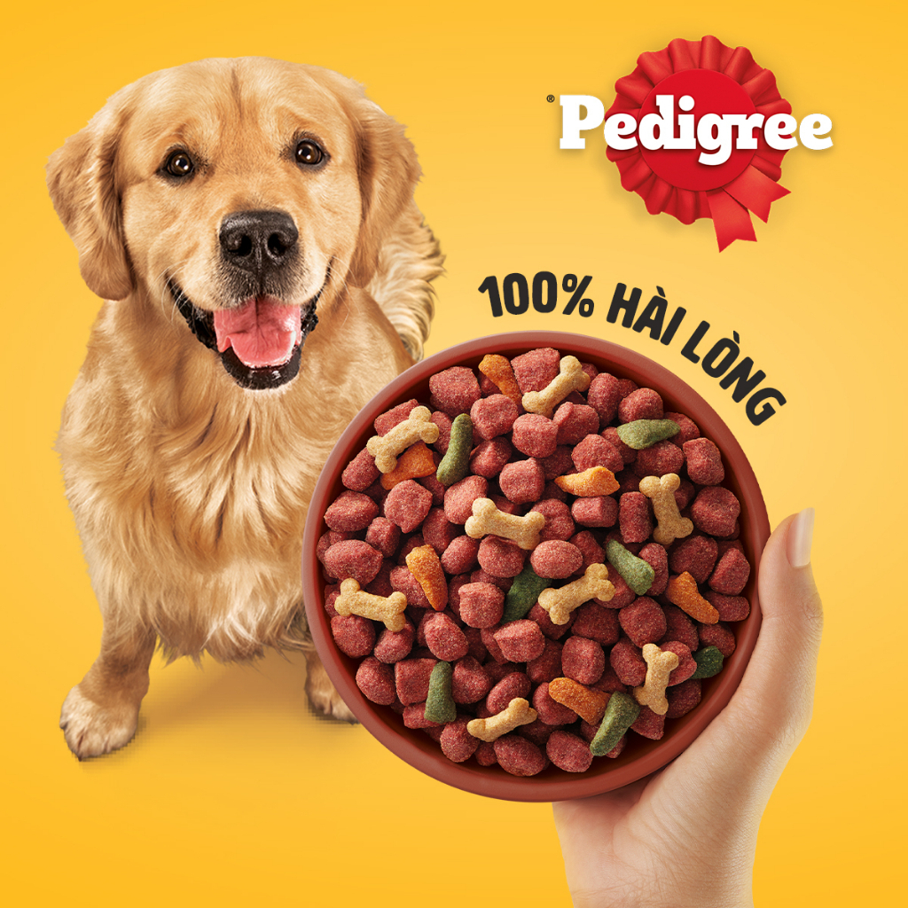 Hạt chó Pedigree Adult Thức ăn cho chó trưởng thành 1.5kg 2 vị Petemo Pet Shop