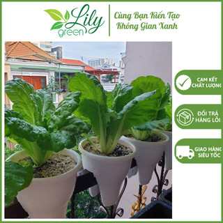 Chậu nhựa kẹp ban công lan can bé đáy nhọn trồng hoa, siêu đẹp