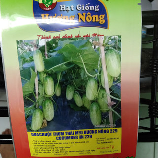 Hạt giống Dưa chuột mèo gói 1gram