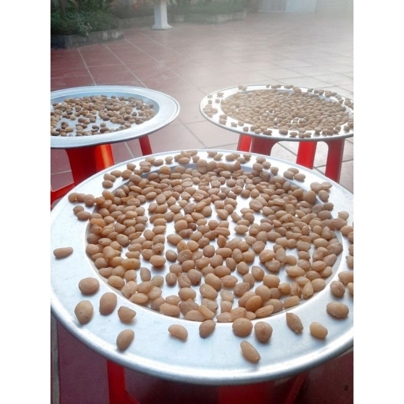 1 GÓI 30 HẠT SANG  CỦA NGƯỜI MÔNG