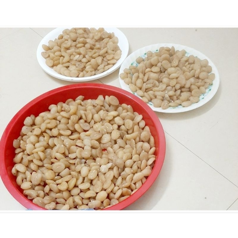 1 GÓI 30 HẠT SANG  CỦA NGƯỜI MÔNG