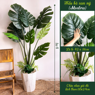 Cây giả, Trầu bà lá xẻ to cao cấp, Monstera lá to dày dặn