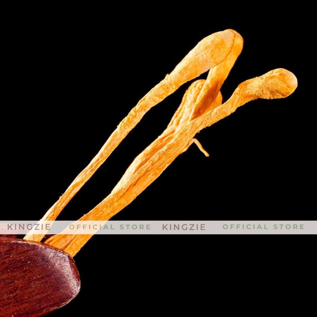 Đông Trùng Hạ Thảo Sấy Khô 100g Thượng Hạng KINGZIE Giúp Giải Độc, Đẹp Da, Tốt Cho Sức Khoẻ