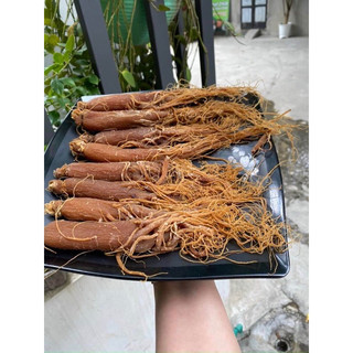 100Gr Hồng sâm sấy dẻo khô,thơm ,mới ,xịn nhất