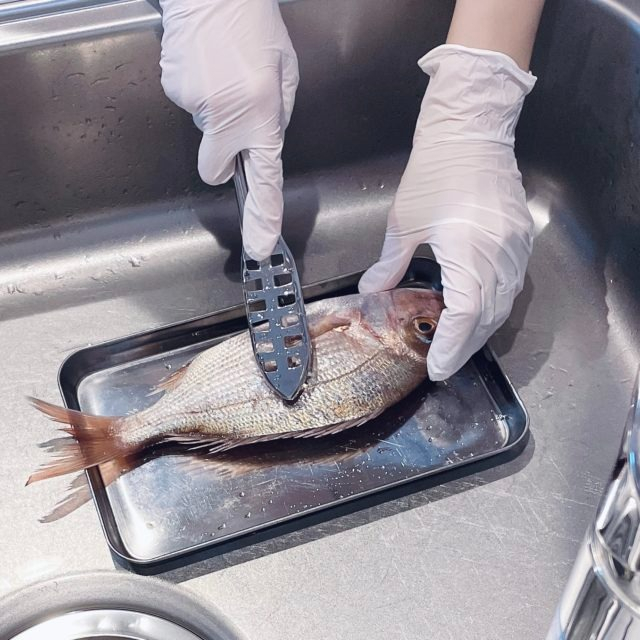 [Hàng Nhật Nội Địa] Dụng Cụ Đánh Vẩy Cá Thép Không Gỉ Daiso