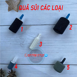 Quả sủi oxy taiwan,quả sủi thường,sủi bắp dùng cho lọc taiwan,sủi bể cá