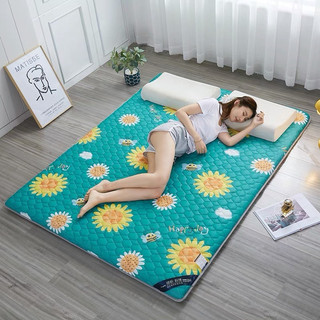 Đệm Đa Năng Xuất Nhật, Đệm Phù Hợp Với Tất Cả Các Kiểu Thời Tiết, Giúp Thư Giãn Tĩnh Mạch,Chống Đau Lưng