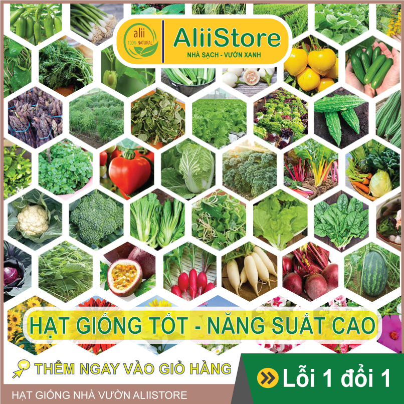 Hạt giống Rau Củ Quả Nhiều Loại trồng chậu, Hạt giống Rau Cải Ăn Lá, Củ Quả chịu nhiệt tốt, trồng quanh năm