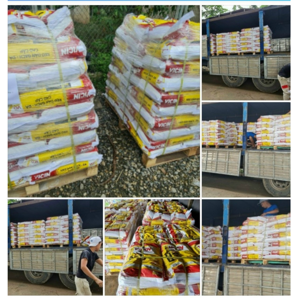 Keo Dán Gạch Nội Thất ốp và lát bao 20kg