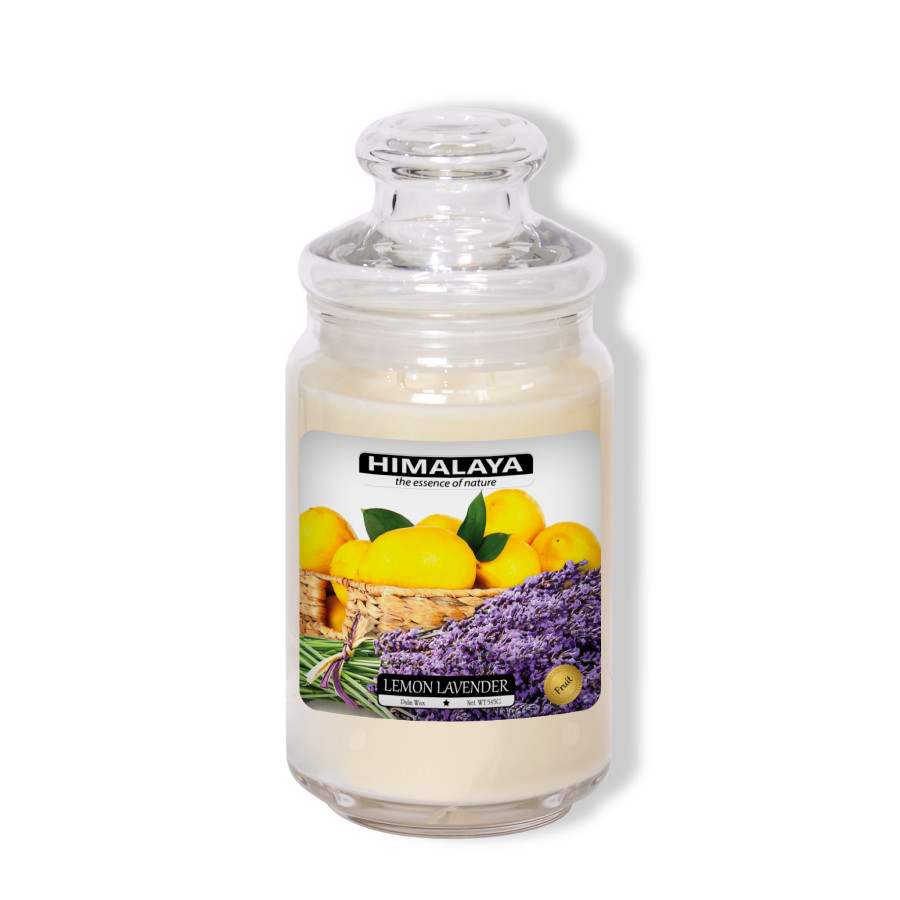 Nến thơm Himalaya nhóm hương trái cây 2 bấc 545g