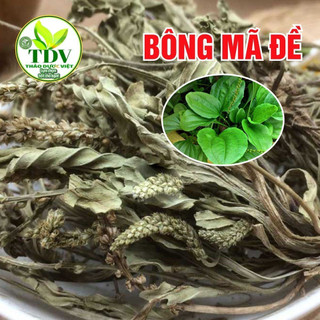 1kg mã đề khô Nghệ An giúp thanh nhiệt giải độc - hàng công ty Thảo Dược Việt