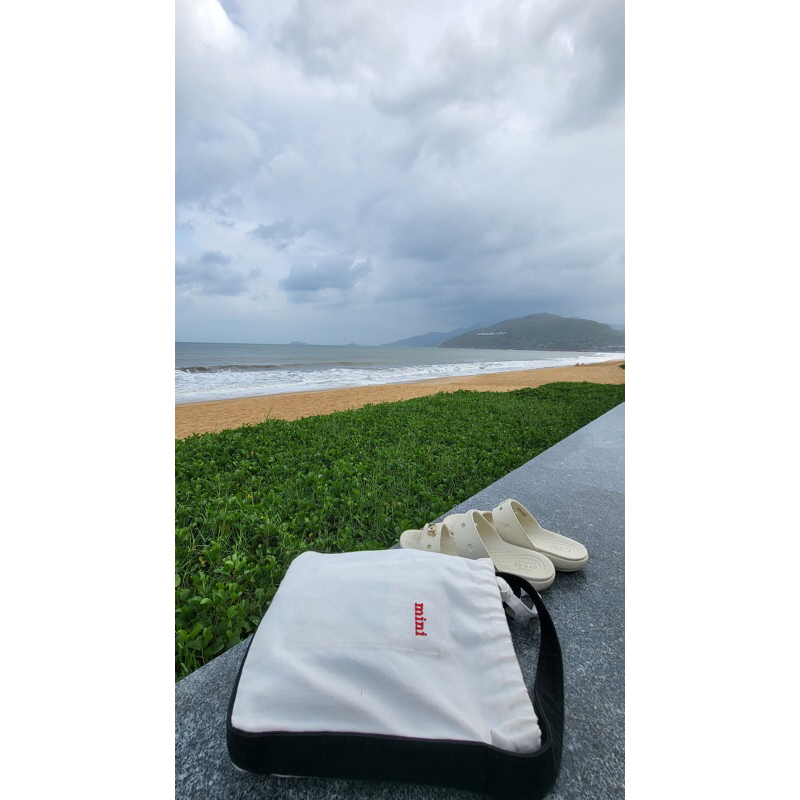 Túi MINI tote đi biển xinh xắn, quai đeo vai, nhiều ngăn, canvas dày đẹp 2023