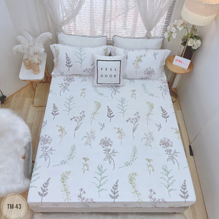 3.GA GỐI TENCEL MICROFIBER ( ẢNH SHOP TỰ CHỤP )