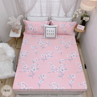 3.GA GỐI TENCEL MICROFIBER ( ẢNH SHOP TỰ CHỤP )