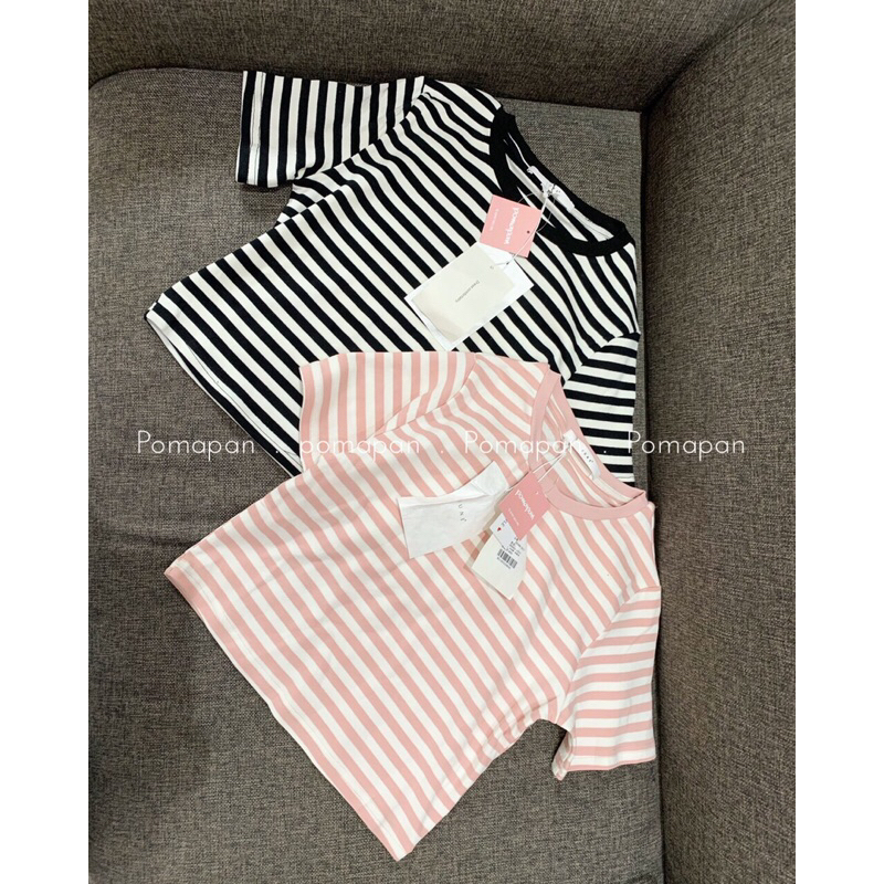 A4004 - Áo croptop thun sọc