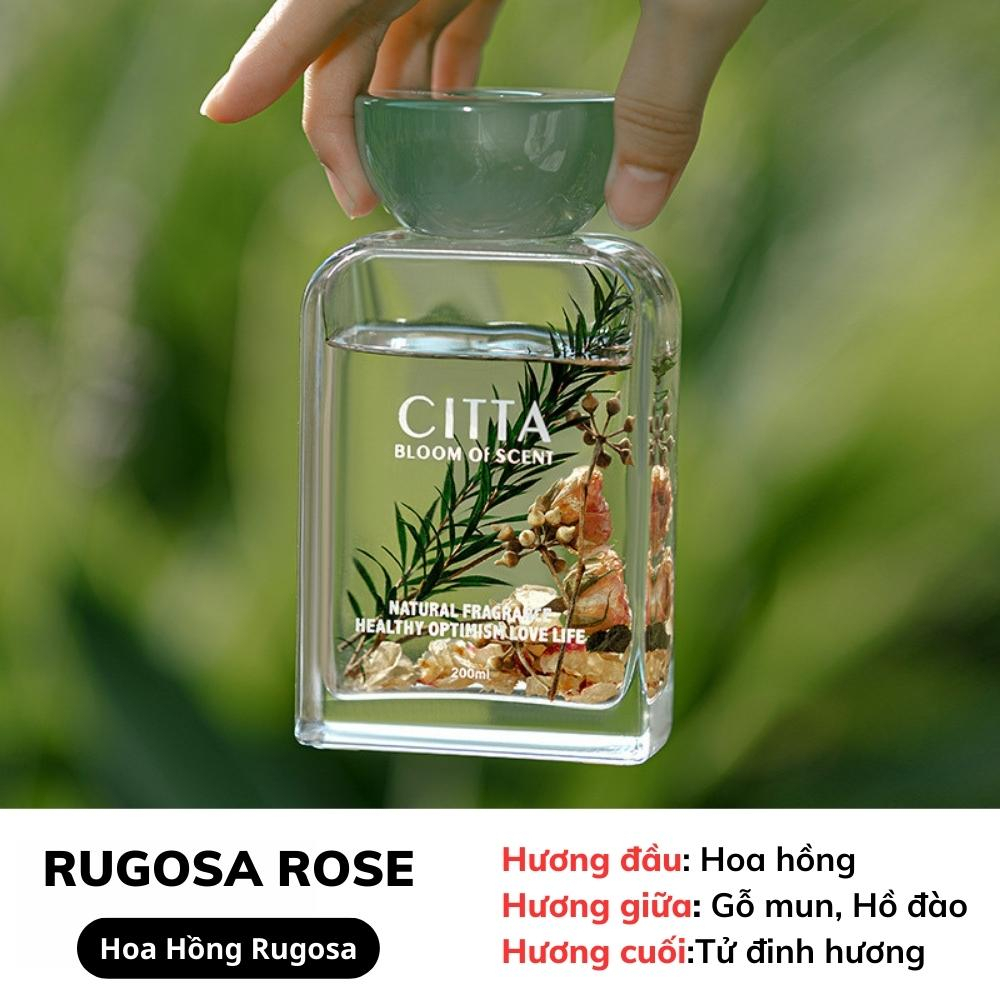Tinh dầu thơm phòng cao cấp CITTA RUGOSA ROSE làm quà tặng sang trọng hương nước hoa
