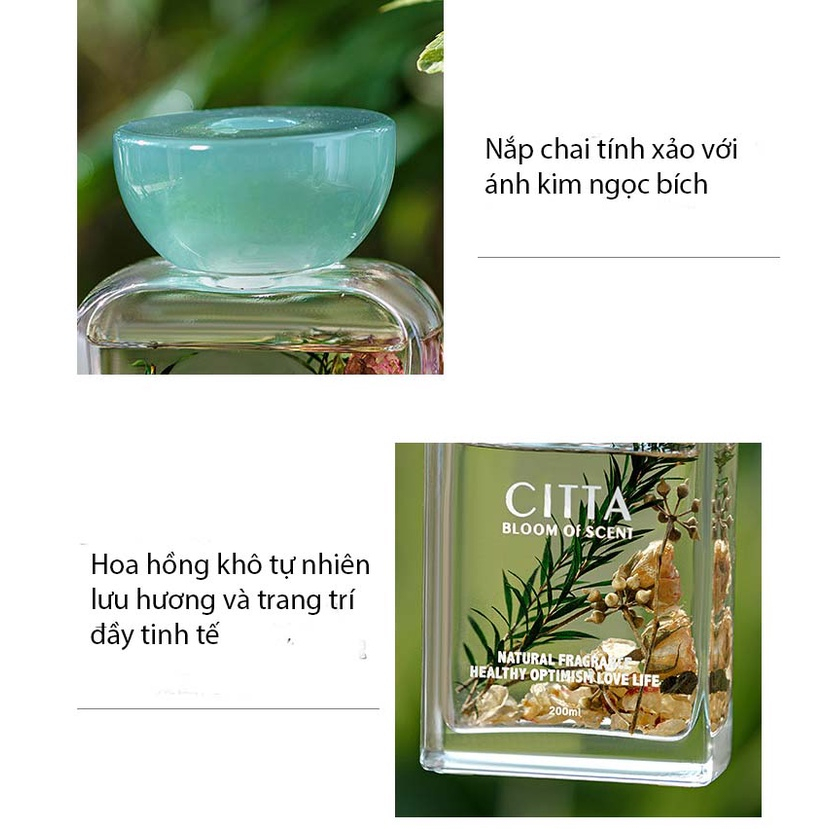 Tinh dầu thơm phòng cao cấp CITTA RUGOSA ROSE làm quà tặng sang trọng hương nước hoa