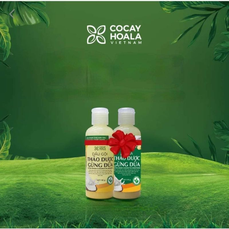 ComBo Mini Gội Xả Thảo Dược Gừng Dừa-đánh bay gàu,giảm rụng tóc