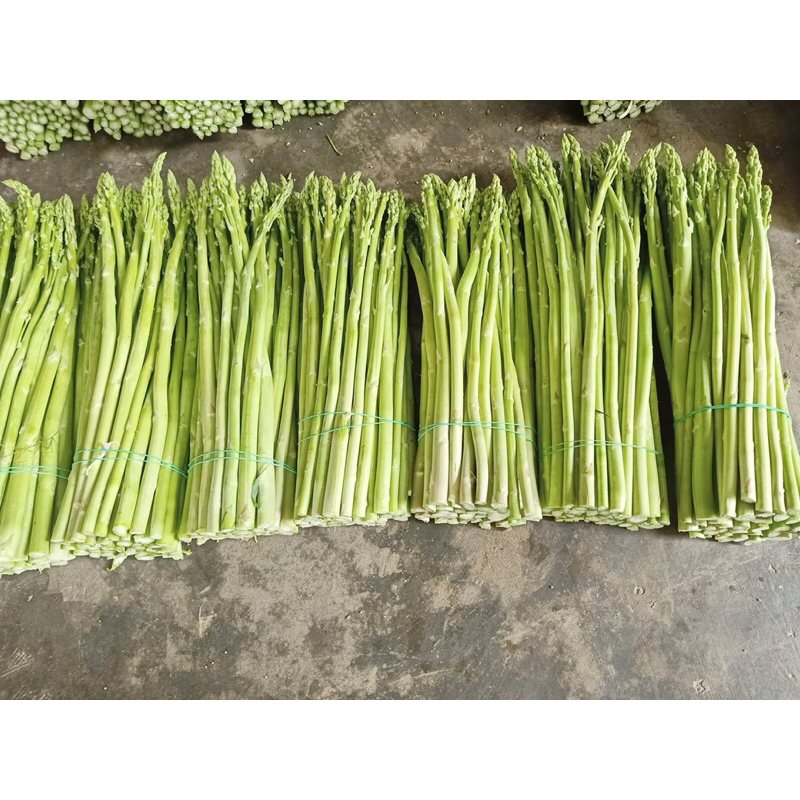 Măng tây tươi 500g - Ship hoả tốc Hà Nội - Ship buổi sáng