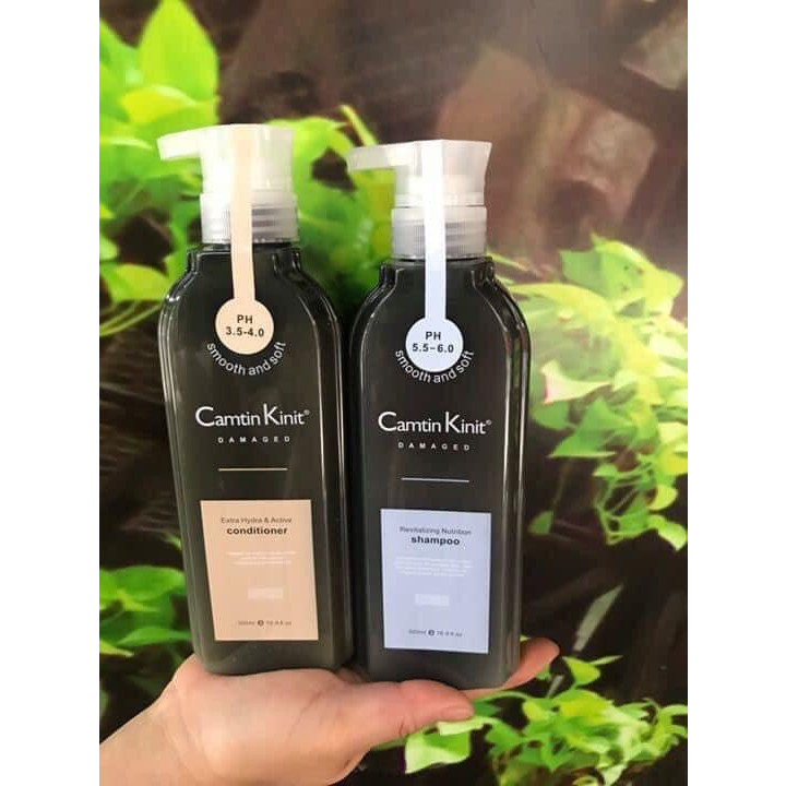 Cặp gội xả camtin kinit 6 in 1 kiềm dầu, thải độc, dưỡng ẩm, phục hồi kích mọc tóc