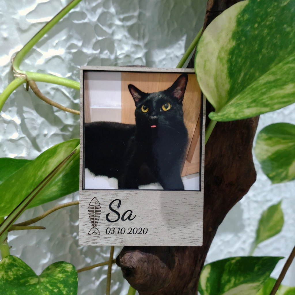 Nam châm hít tủ lạnh khắc chữ, in hình theo yêu cầu