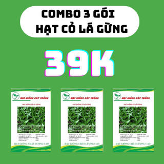 Combo 3 gói hạt giống cỏ lá gừng - gói 100 hạt - kn
