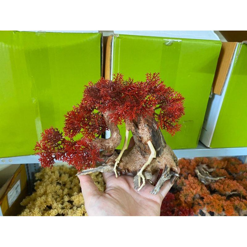 Bonsai Tán Tùng Gắn Rêu Nhựa Nhiều Màu Sắc