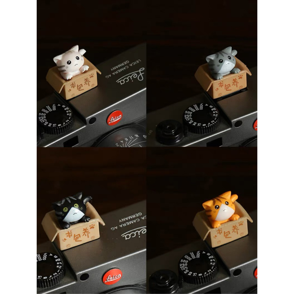 Hotshoe hình Mèo Cute, cài chân flash máy ảnh