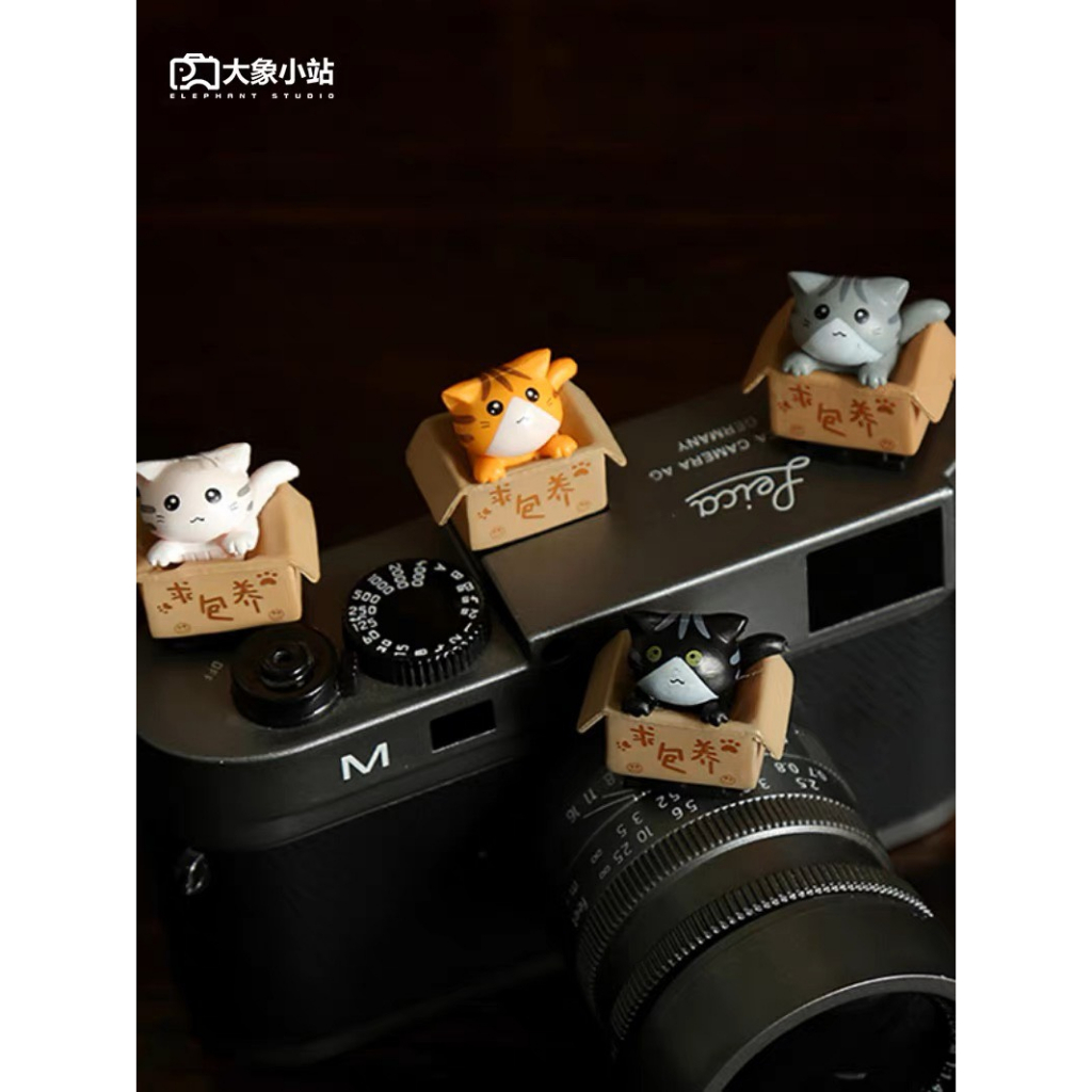 Hotshoe hình Mèo Cute, cài chân flash máy ảnh