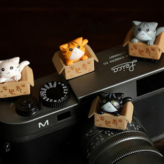 Hotshoe hình Mèo trong hộp Cute, cài chân flash máy ảnh