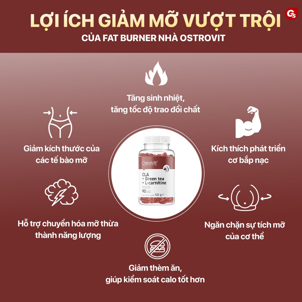 Viên uống Ostrovit CLA + Greentea + L-carnitine  nhập khẩu Ba Lan - Gymstore giúp giảm thèm ăn, giảm mỡ
