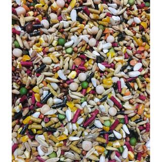 5kg Ngũ cốc dành cho gà đá