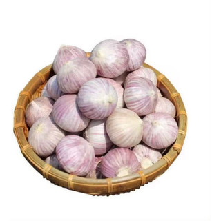 Tỏi cô đơn chigo loại 1kg đặc biệt, dùng làm tỏi đen và chế biến các món ăn tăng hương vị