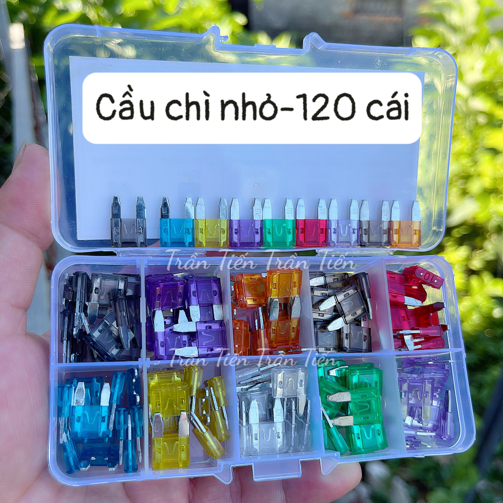 Cầu chì chân cắm các cỡ