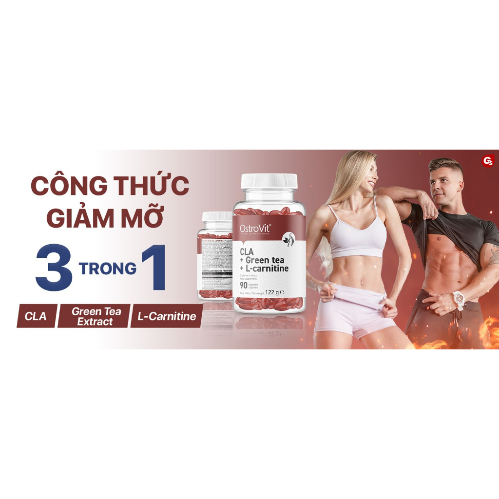 Viên uống Ostrovit CLA + Greentea + L-carnitine  nhập khẩu Ba Lan - Gymstore giúp giảm thèm ăn, giảm mỡ